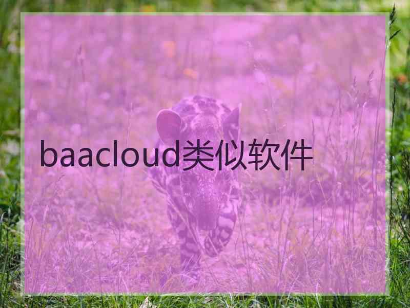 baacloud类似软件