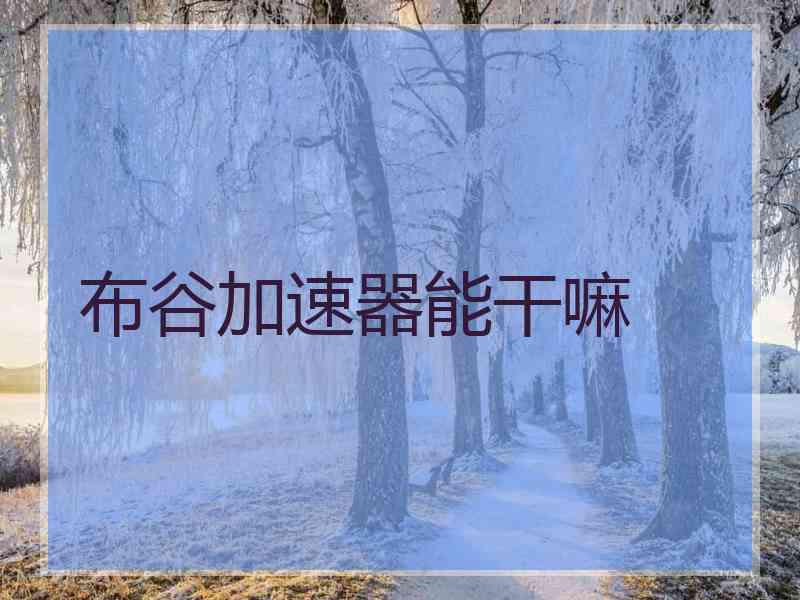 布谷加速器能干嘛