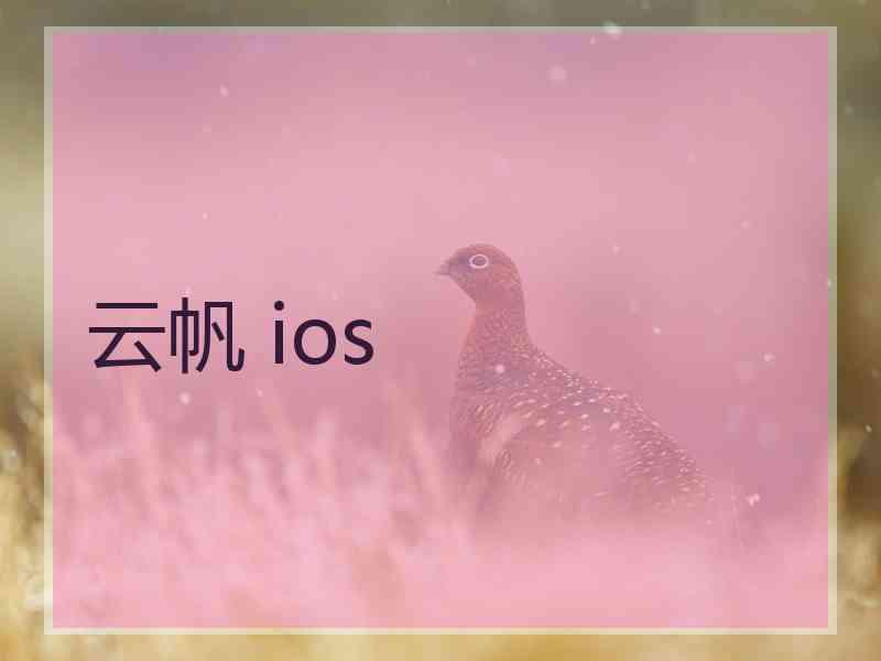 云帆 ios