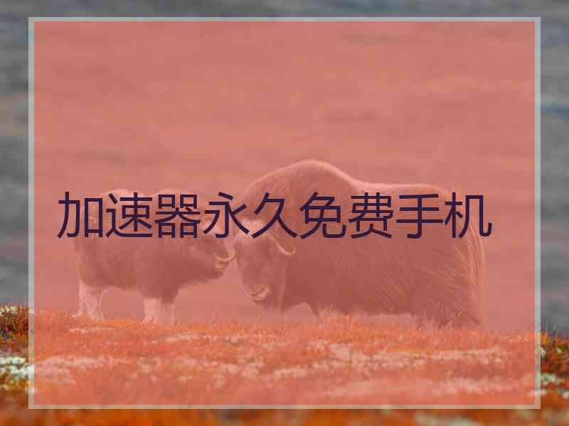 加速器永久免费手机