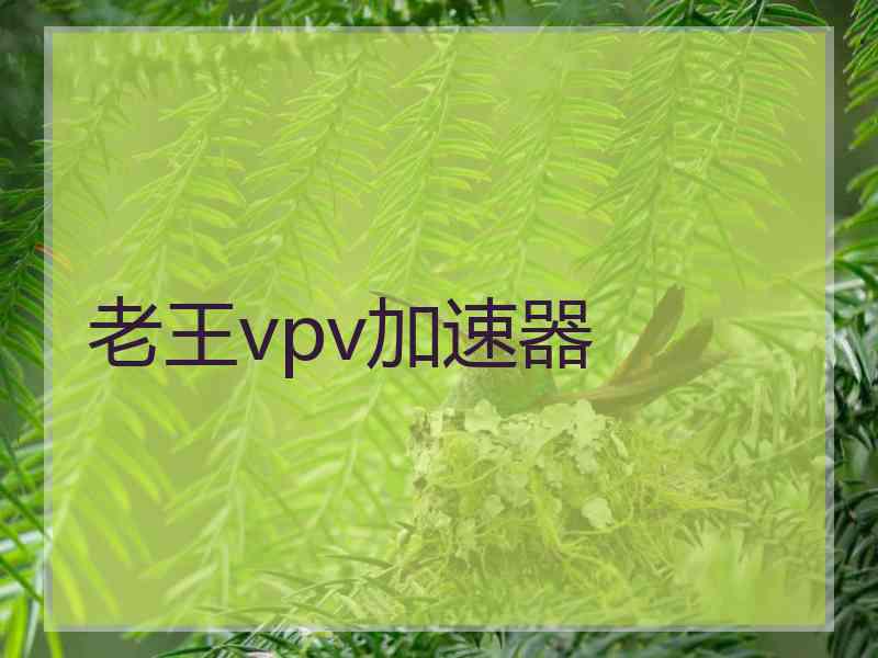 老王vpv加速器