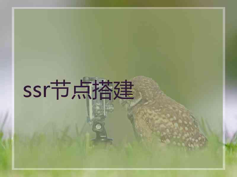 ssr节点搭建
