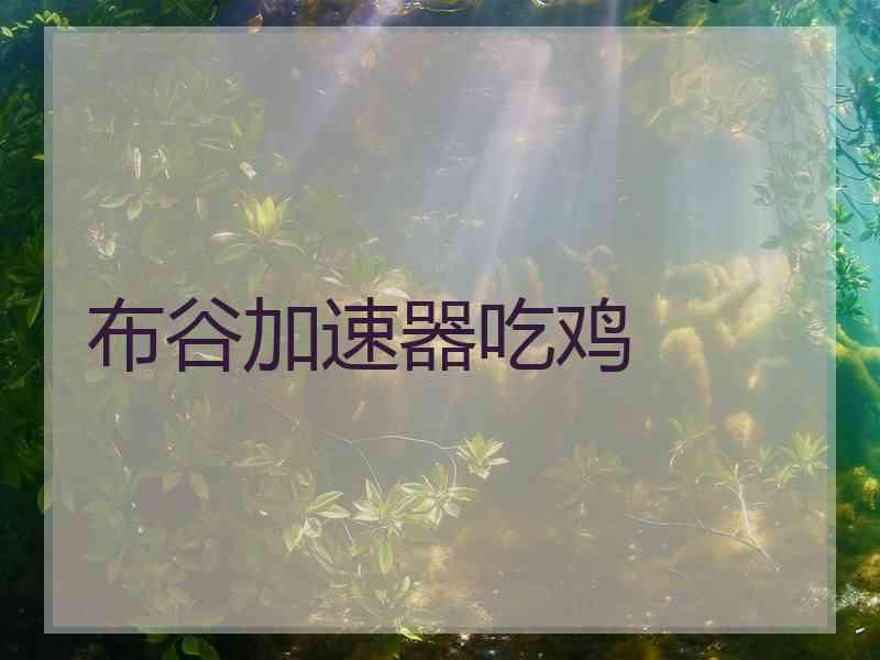 布谷加速器吃鸡