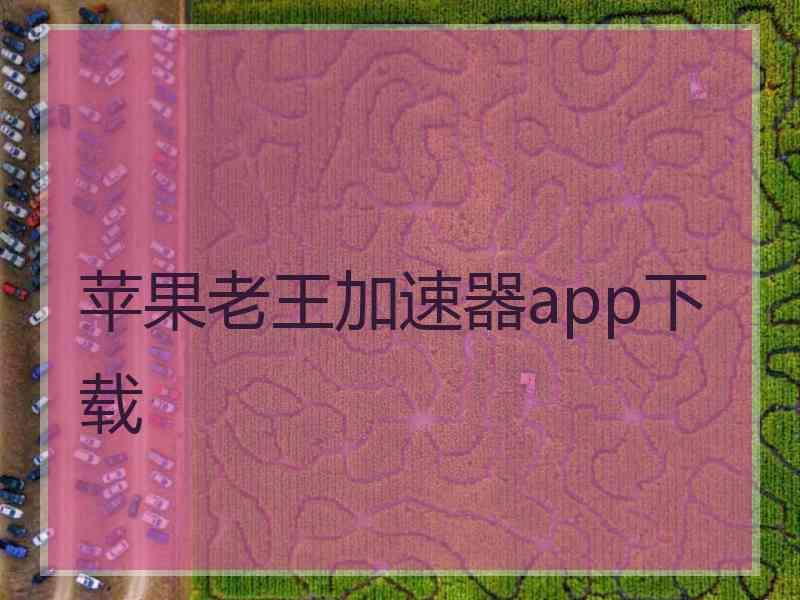 苹果老王加速器app下载