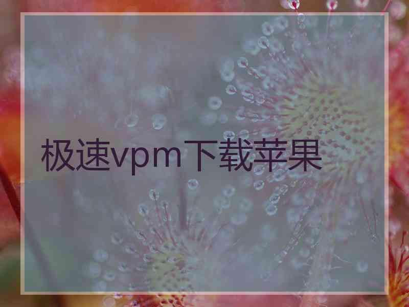 极速vpm下载苹果