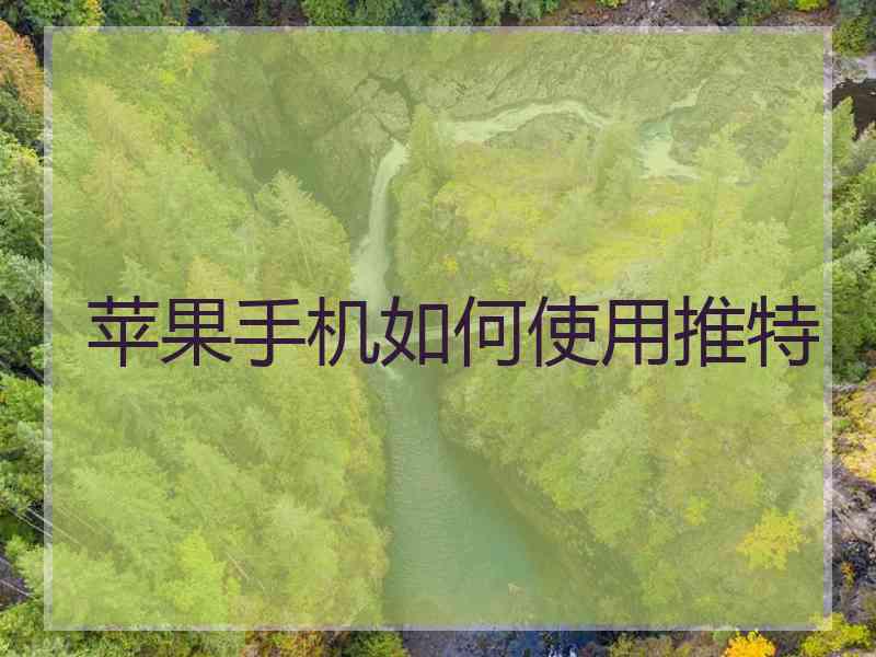 苹果手机如何使用推特