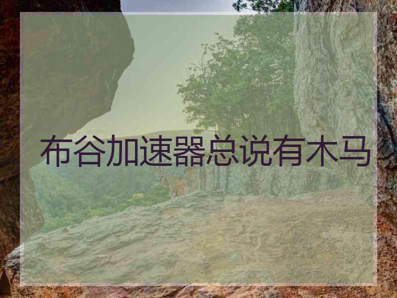 布谷加速器总说有木马