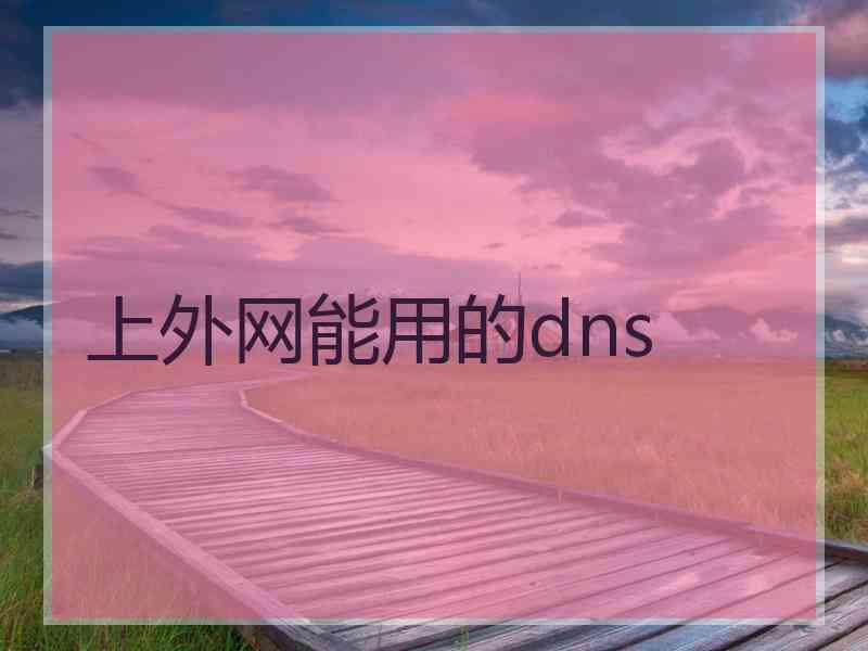 上外网能用的dns