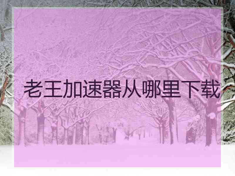 老王加速器从哪里下载