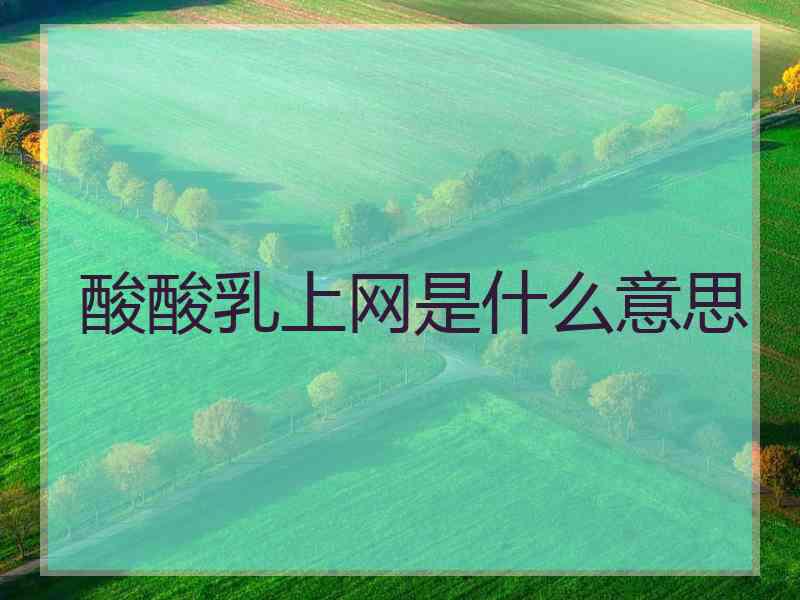 酸酸乳上网是什么意思