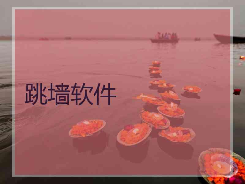 跳墙软件