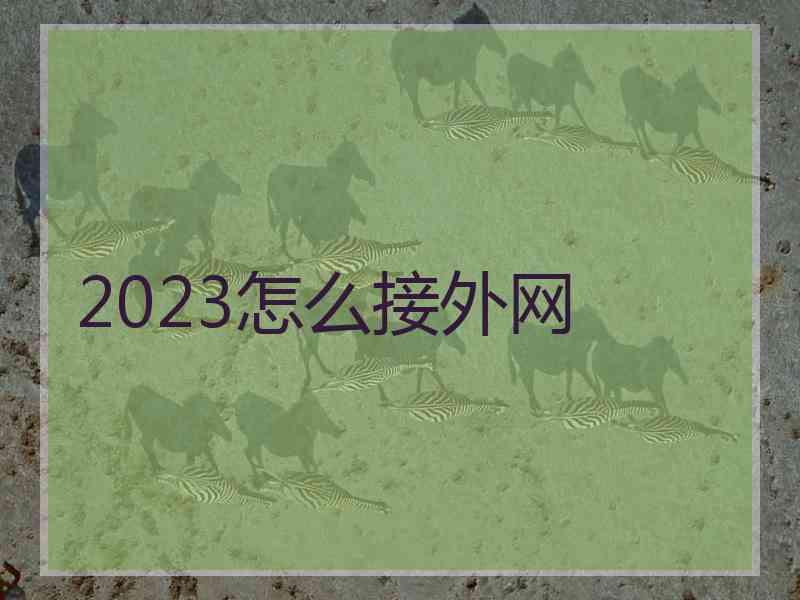2023怎么接外网