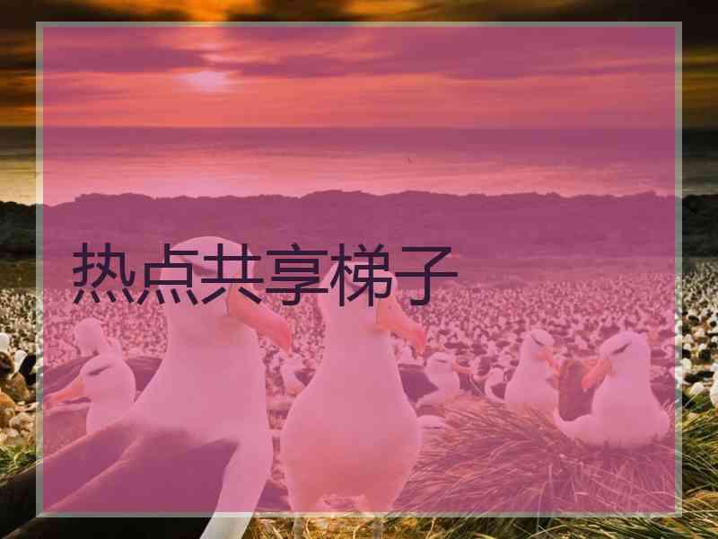 热点共享梯子