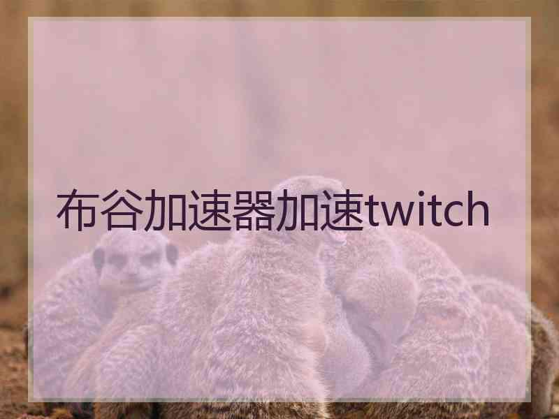 布谷加速器加速twitch