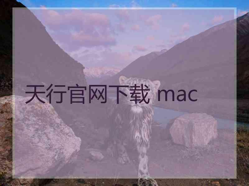 天行官网下载 mac