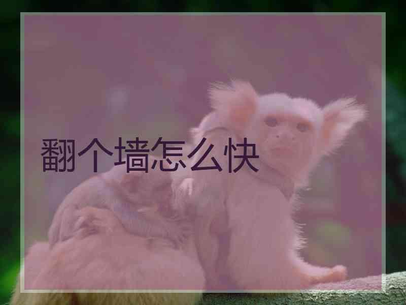 翻个墙怎么快