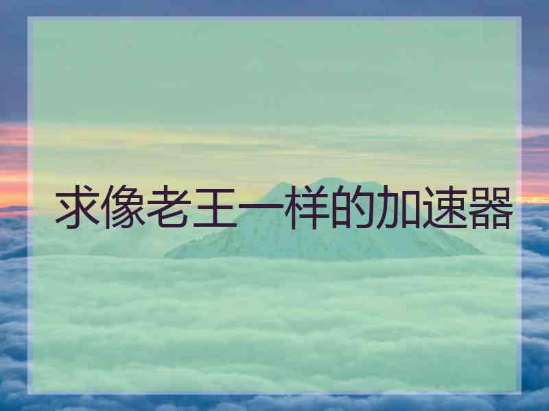 求像老王一样的加速器