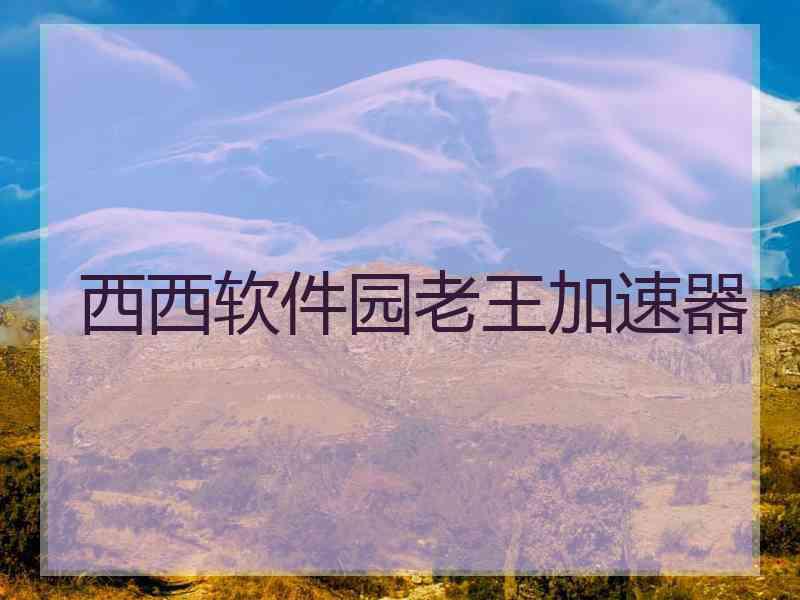 西西软件园老王加速器