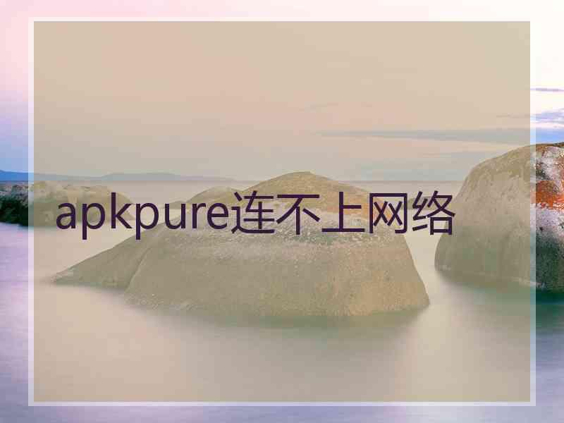 apkpure连不上网络