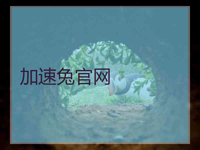 加速兔官网