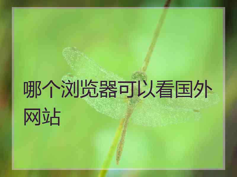 哪个浏览器可以看国外网站