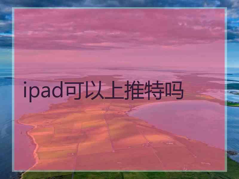 ipad可以上推特吗