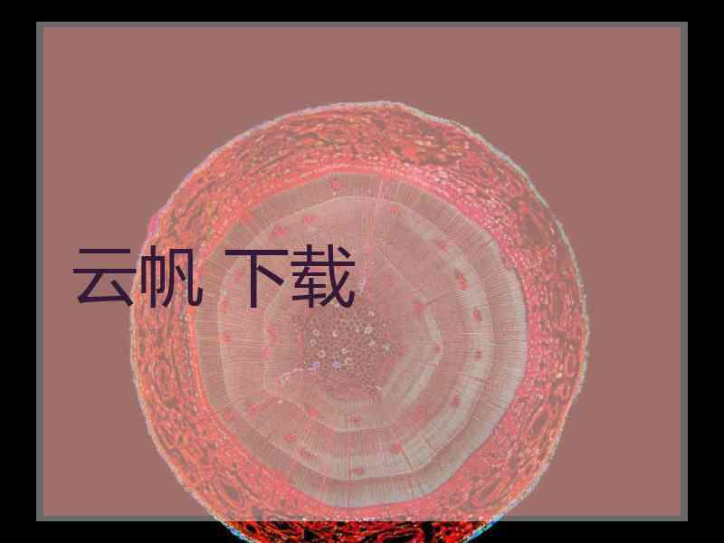 云帆 下载