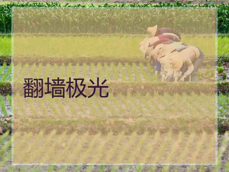 翻墙极光