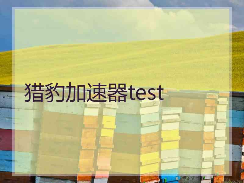 猎豹加速器test