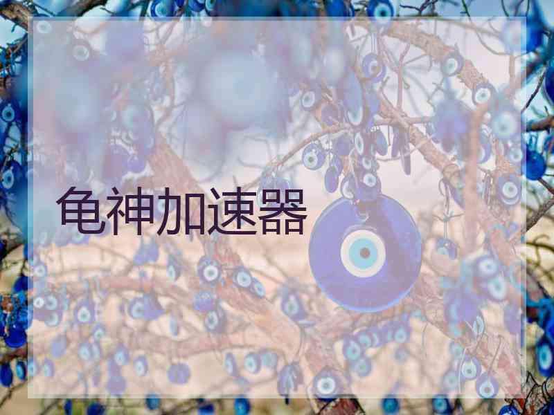 龟神加速器
