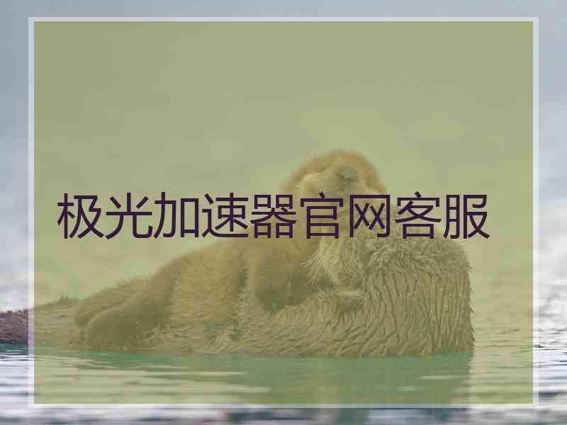极光加速器官网客服