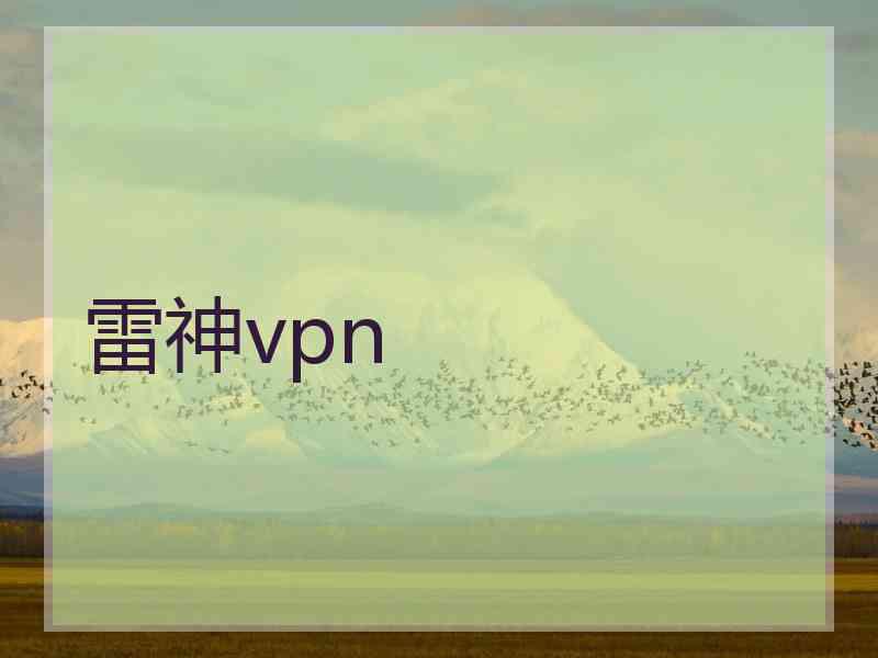 雷神vpn