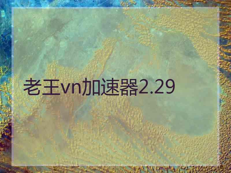 老王vn加速器2.29