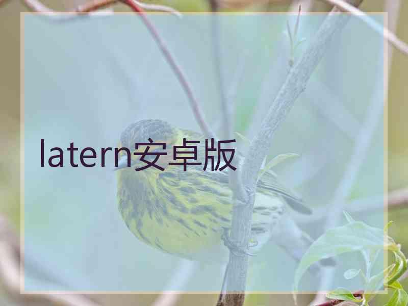 latern安卓版