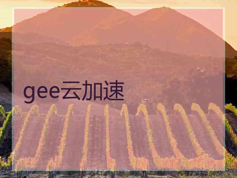 gee云加速