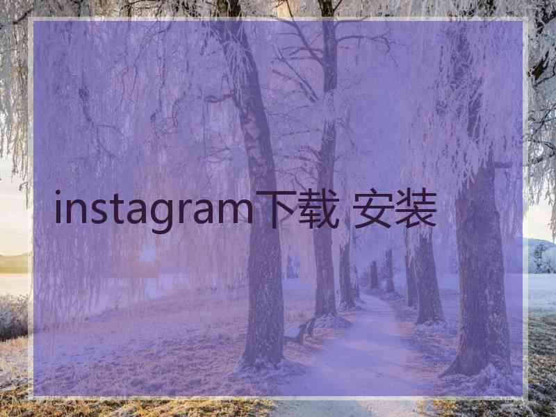 instagram下载 安装