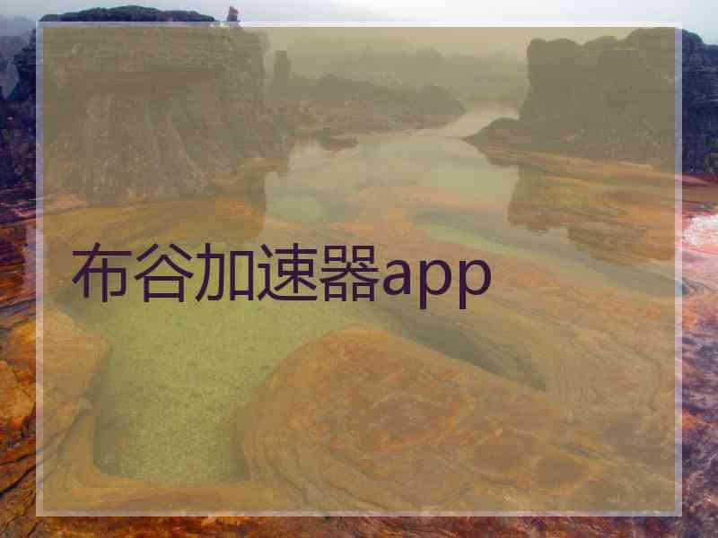 布谷加速器app