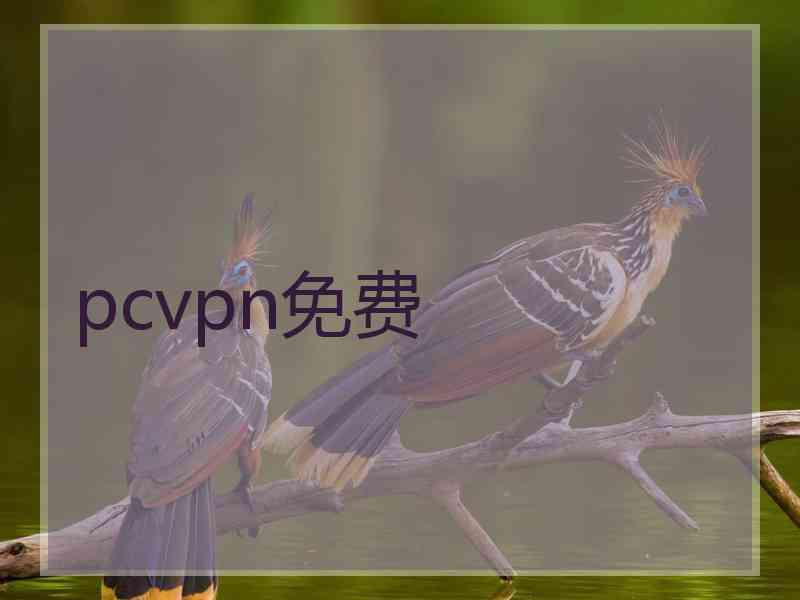 pcvpn免费