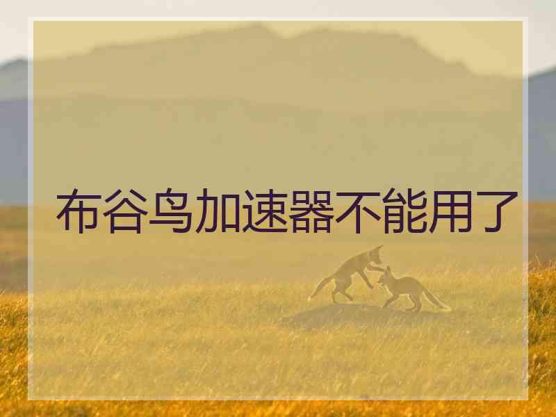 布谷鸟加速器不能用了