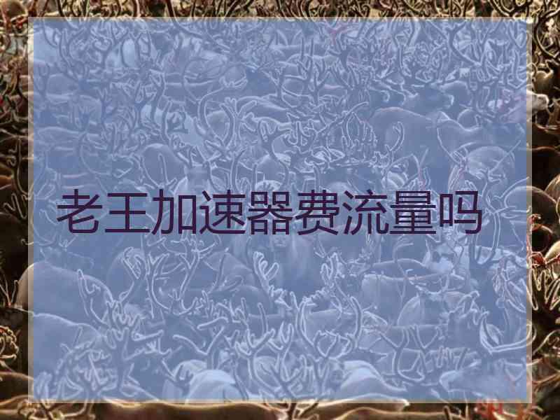 老王加速器费流量吗