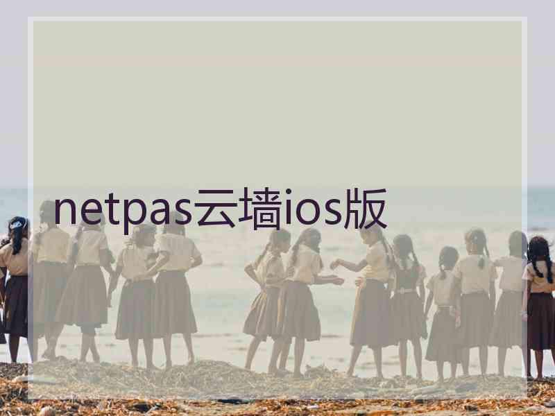 netpas云墙ios版