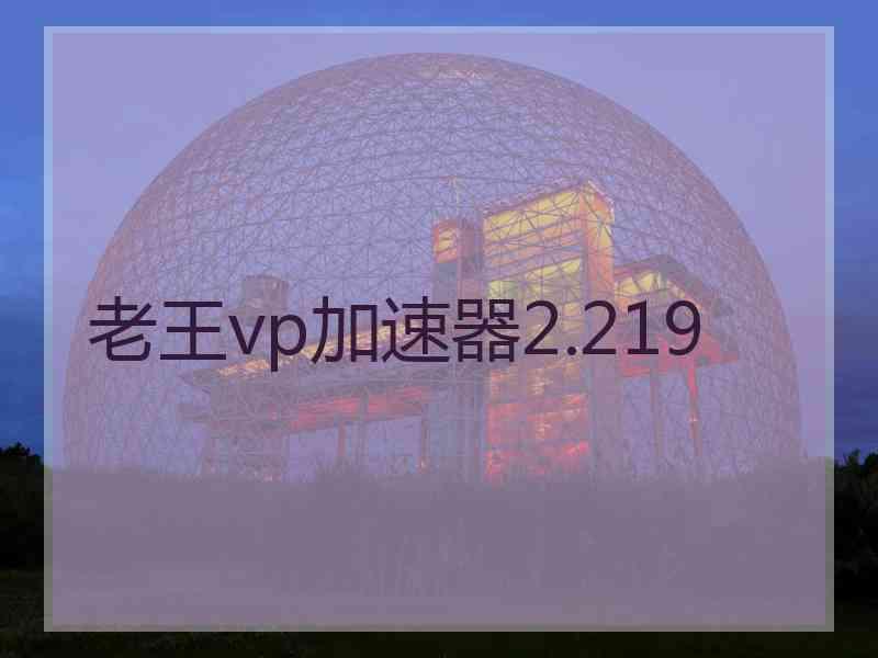 老王vp加速器2.219