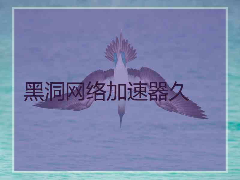 黑洞网络加速器久
