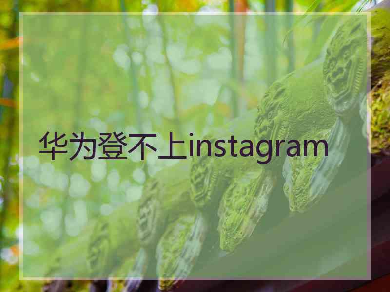 华为登不上instagram