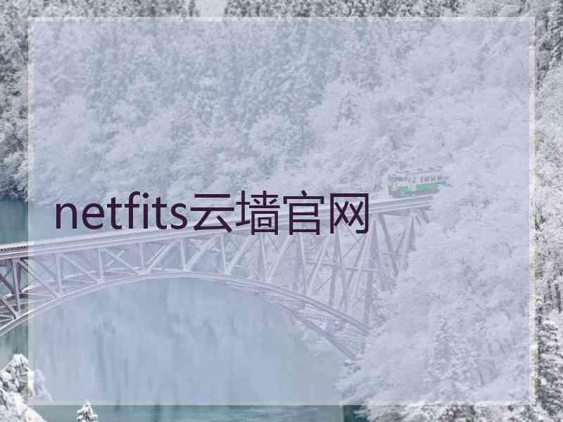netfits云墙官网