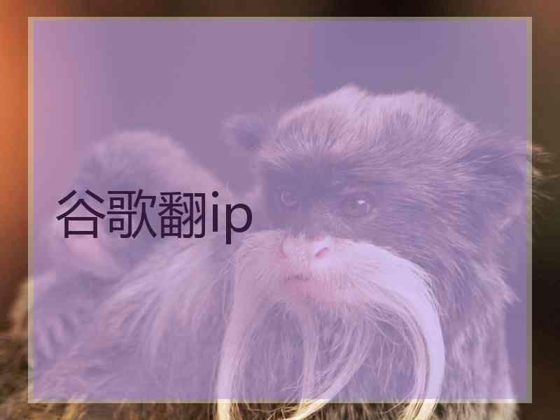谷歌翻ip