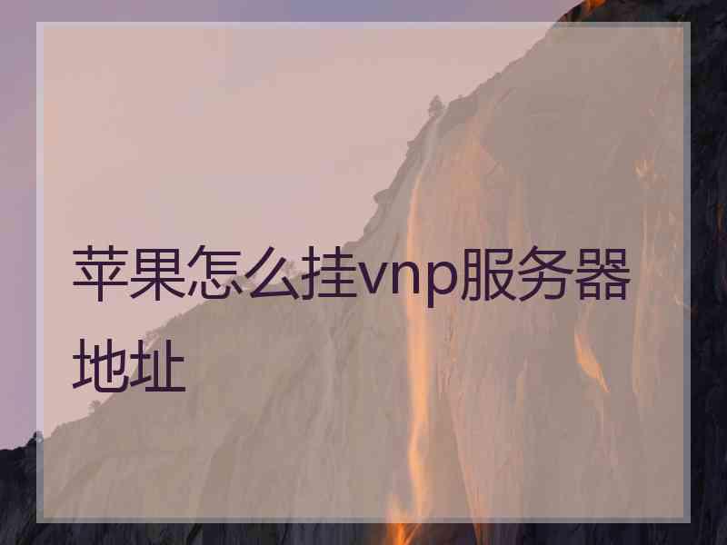 苹果怎么挂vnp服务器地址