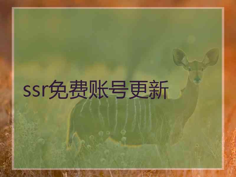 ssr免费账号更新