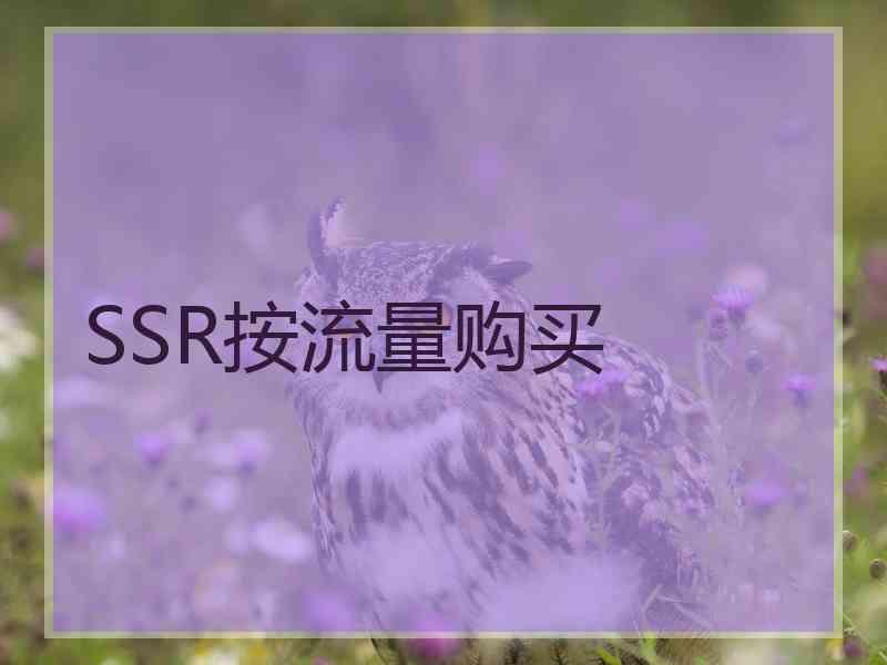 SSR按流量购买
