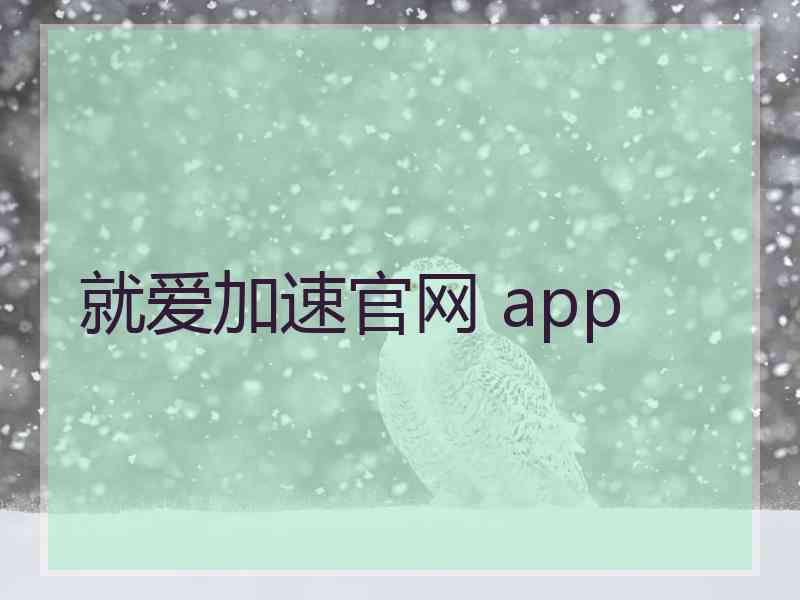 就爱加速官网 app